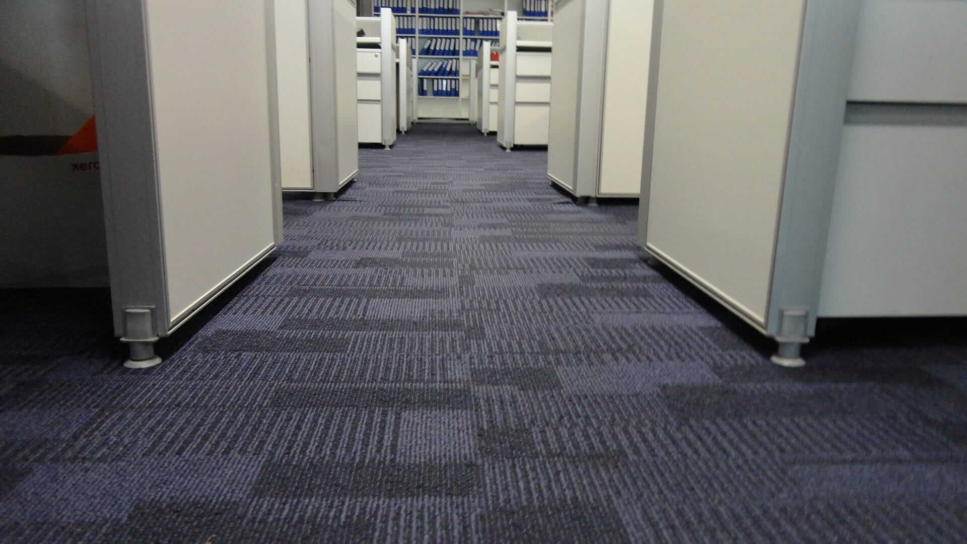commercial carpet cleaning leicester (1)