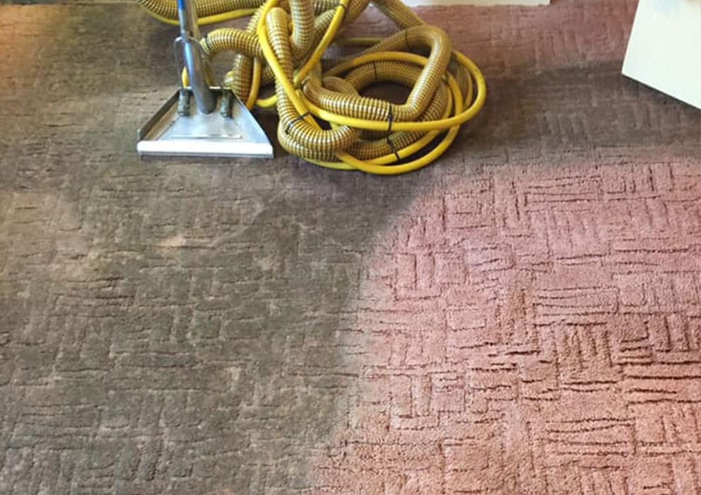 diy vs professional carpet cleaning &ndash; 5 differences